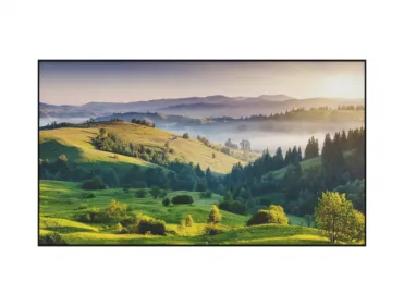 PLQ4-1100 LCD Module