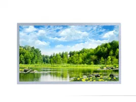 PL185FHB-N10 High Brightness LCD Module