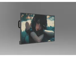 PL430FHB-N10 LCD Module