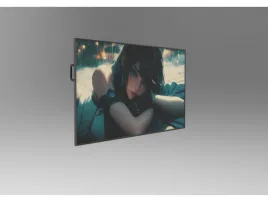 PL650QUB-P21 LCD Module